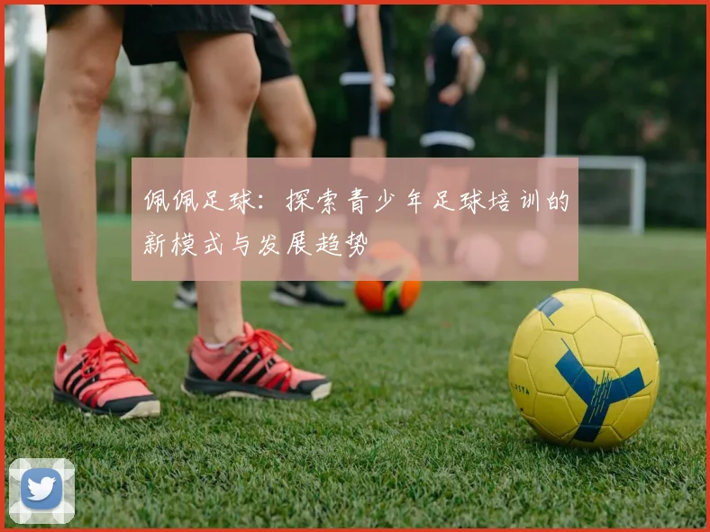 佩佩足球：探索青少年足球培训的新模式与发展趋势