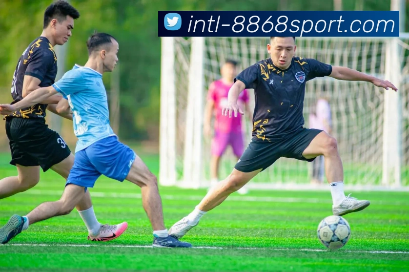 App Interface Preview